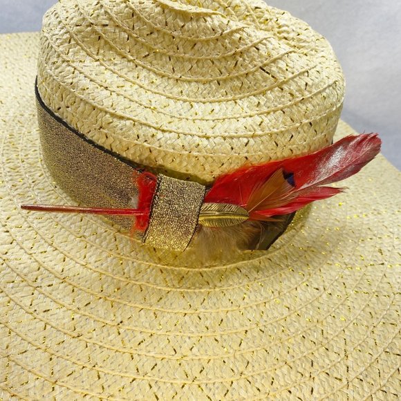 Extra Wide Brim Rancher main image 4